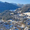 Отель Village Vacances Le Chablais, фото 6