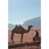 Отель Bedouin Nomads Adventures, фото 4