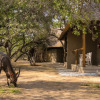 Отель Bushbaby River Lodge, фото 14