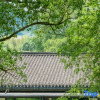 Отель Wuta Xinshe Tangquan Homestay (Hangzhou Stork Branch), фото 14