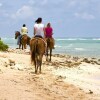 Отель Pomegranate Cottage by Grand Cayman Villas & Condos, фото 25