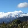 Отель National Park Alpine Lodge, фото 8