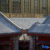 Отель Waldorf Astoria Hutong Courtyard, фото 6