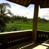 Отель Arjana Bungalows Rice Field, фото 2