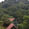 Отель Ecoverde Lodge Monteverde, фото 2