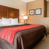 Отель Comfort Inn & Suites, фото 5