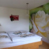 Отель Apartment Sonnwies, фото 2