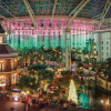 Отель Gaylord Opryland Resort & Convention Center, фото 14