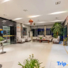 Отель Aviation Hostel, фото 9
