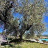 Отель Cottage in Senigallia on the Marche Hills Just a few Minutes From the Beach 6pax, фото 1