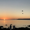 Отель Wellington Beach Suite, фото 22