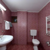 Отель Pensiunea Dana, фото 7