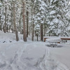 Отель Tahoe Donner Mountain Cabin: Surrounded by Forest!, фото 19