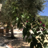 Отель Private Two-house Villa With Pool in Olive Garden, фото 17