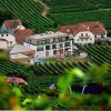 Отель Weingut Donabaum, фото 11