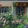 Отель Jingning Shishangxi Homestay, фото 7
