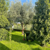 Отель Appartamento con giardino privato, piscina e spiaggia a 500mt, фото 9