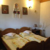 Отель Pensiunea Turlas Maria, фото 10