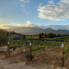 Отель Villas en Los Retoños, фото 17