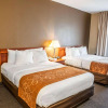 Отель Comfort Suites Auburn near I-69, фото 24