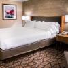 Отель Holiday Inn Hotel & Suites Warren, an IHG Hotel, фото 28