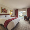 Отель Carnival City Hotel, фото 4