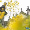 Отель Mujin Qiufang Inn, фото 11