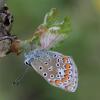 Отель Fattoria Lucciano, фото 17