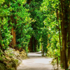 Отель Matayoshi Coffee Farm, фото 1