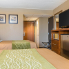 Отель Comfort Inn & Suites Near Pocono Mountains, фото 5