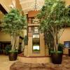 Отель Embassy Suites by Hilton Minneapolis North, фото 2