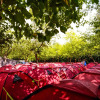 Отель Valencia Festival Camping, фото 20