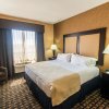 Отель Holiday Inn Arlington NE-Rangers Ballpark, an IHG Hotel, фото 3
