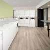 Отель WoodSpring Suites San Antonio Stone Oak, фото 10