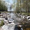 Отель Årås Kvarn, фото 8