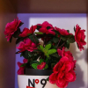 Отель Hostel No9, фото 21