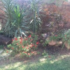 Отель Matilinda Lodge, фото 14