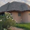 Отель Oilepo Amboseli - Luxury Tents, фото 7