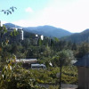 Отель Borjomi Likani Homestay, фото 10