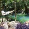 Отель Daintree Secrets Rainforest Sanctuary, фото 8