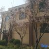 Отель Oriental Rihigh International Hot Spring Resort, фото 19