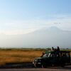 Отель Amboseli Serena Safari Lodge, фото 20