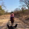 Отель Holiday Rental Home in Victoria Falls, фото 17