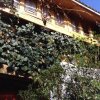 Отель Snow Field Sunshine Inn в Лицзяне