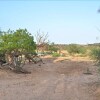 Отель Sentrim Samburu Lodge, фото 31