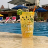 Отель Tunis Pyramids Hotel, фото 8