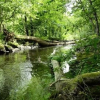 Отель The Morrum River Bed and Breakfast, фото 6