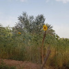 Отель Sahara Source Vie, фото 6