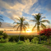 Отель Kona Bayview Inn, фото 7