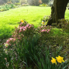 Отель Bodrean Manor Farm Bed And Breakfast, фото 3